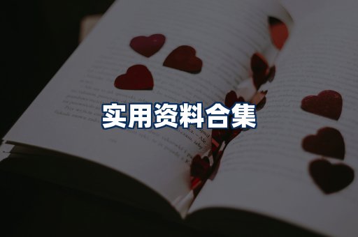 实用PDF资料展示